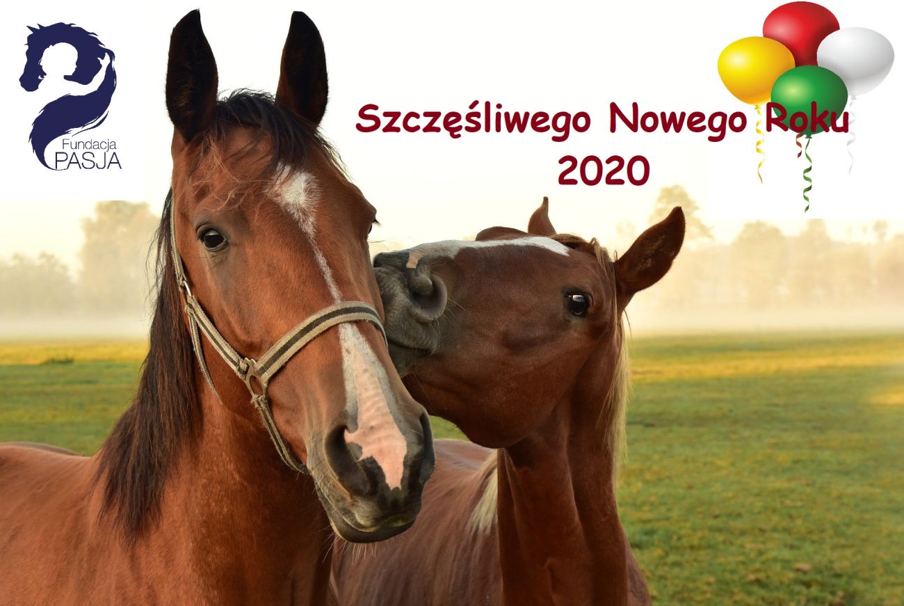 Dziękujemy za rok 2019 i życzymy szczęśliwego Nowego Roku 2020